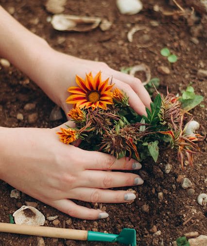 4+1 Λόγοι Να Ασχοληθείς Με Την Κηπουρική | Lifestyle